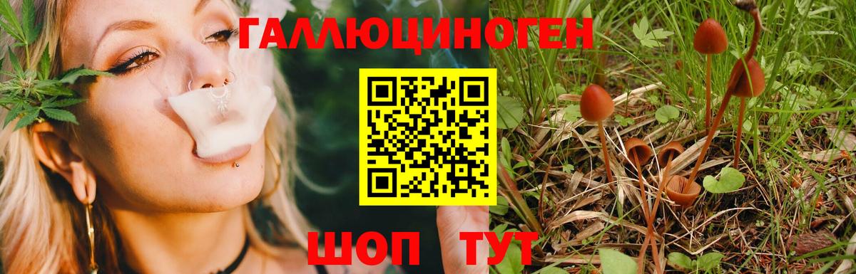 Псилоцибиновые грибы Magic Shrooms  Псилоцибиновые грибы MAGIC MUSHROOMS  Вход с VPN  Старая Купавна 